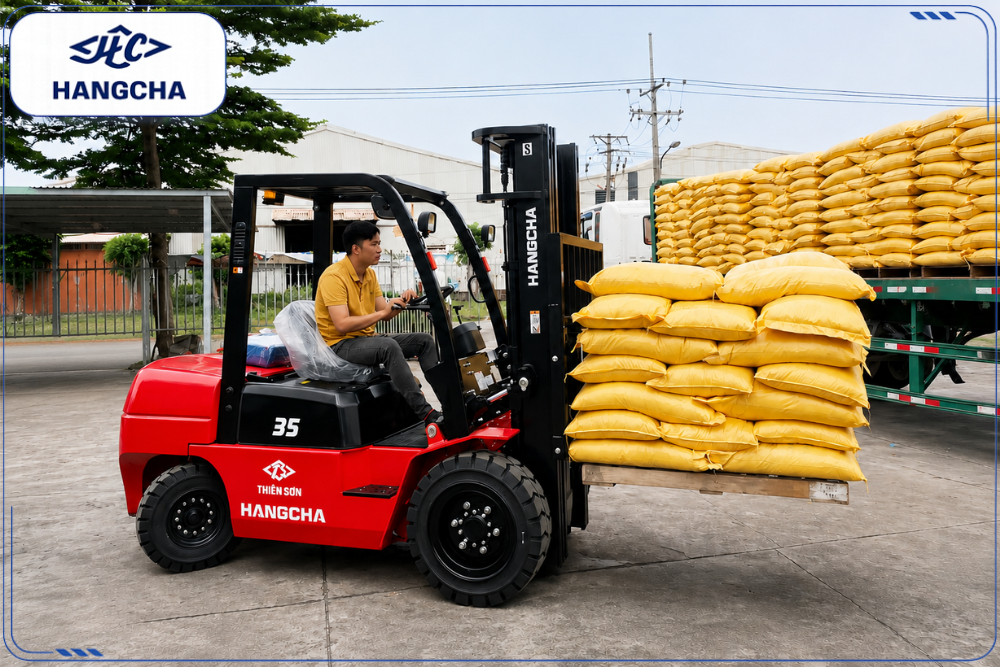 Hình ảnh làm việc thực tế